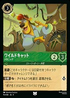 ロルカナ エルサ 3枚セット